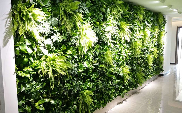 植物墻