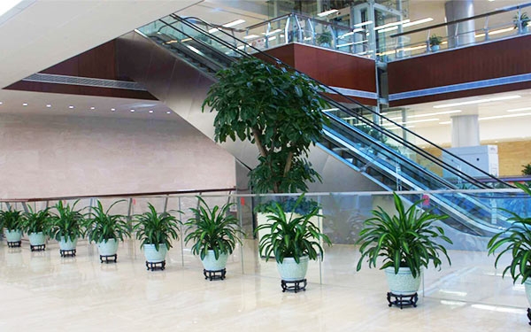 商場(chǎng)租擺3