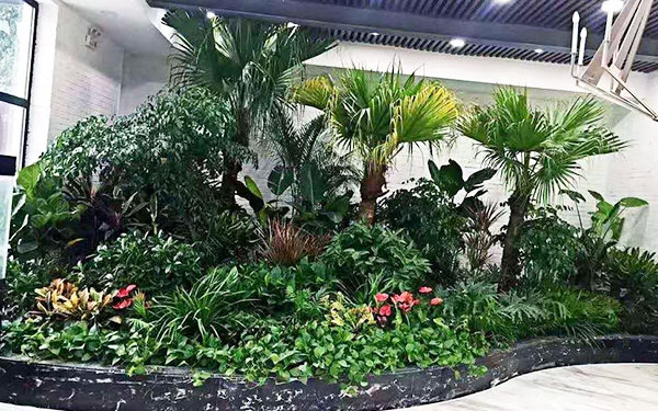 商場(chǎng)租擺2